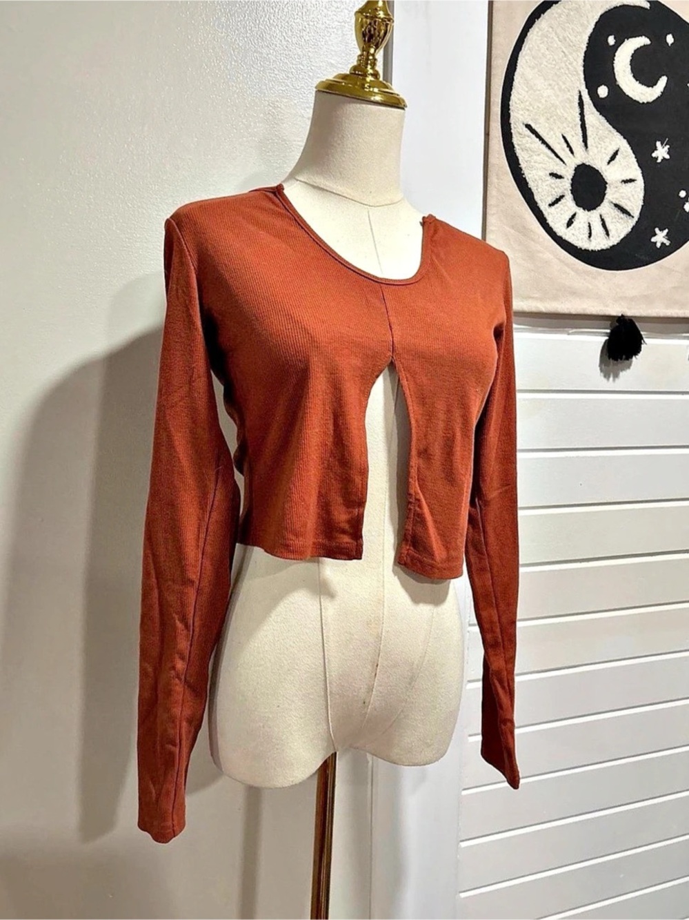 Rusty Ribbed Long Sleeve Split Front Crop Top
